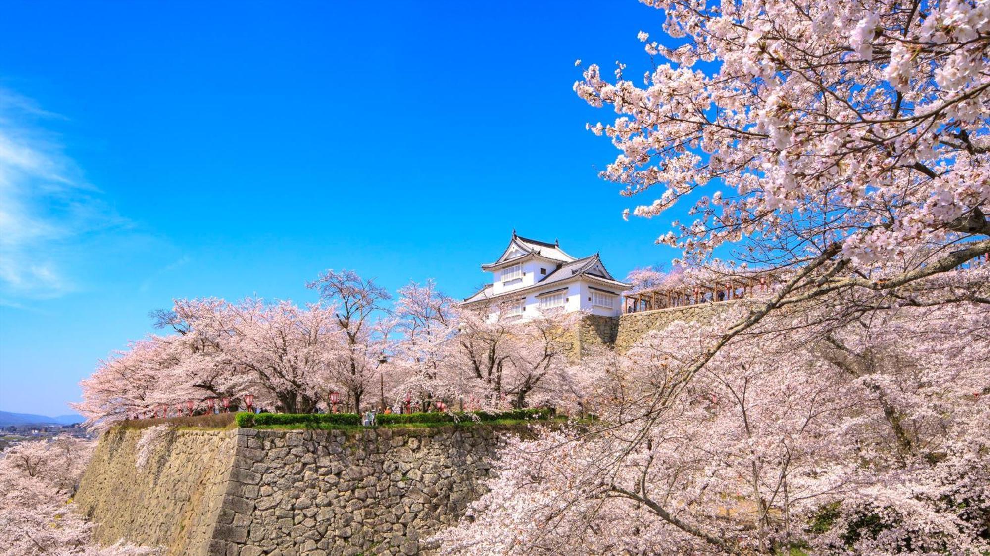 Отель Ana Crowne Plaza Okayama By Ihg Экстерьер фото